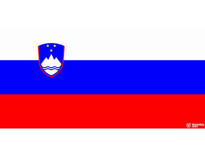  LIETUVA - SLOVĖNIJA - LIETUVA 