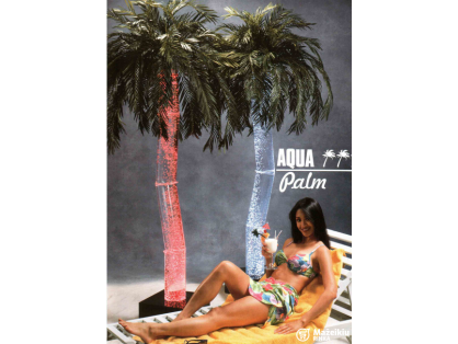  Vandens burbulų palmė, nauja, JAV 